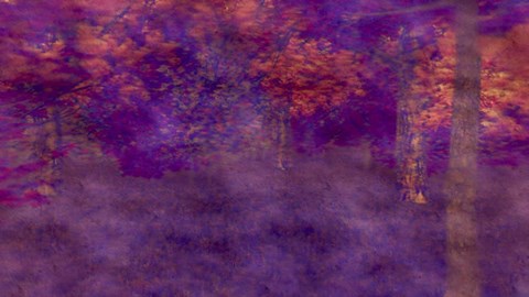 Framed Two Years Max Print