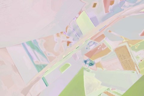 Framed Acacia 1 Print