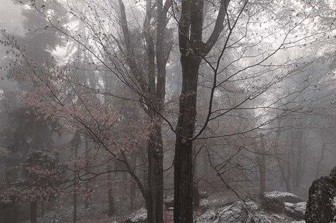 Framed Always Together In Joy And Sorrow Print