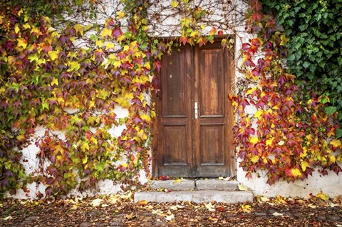 Framed Autumn Wooden Doorway in Prague Print