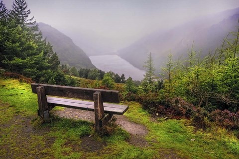 Framed Bench Over the Upper Lake in Glendalough Ireland Print