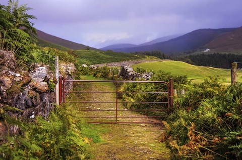 Framed Gates on the Road at Wicklow Hills Ireland Print