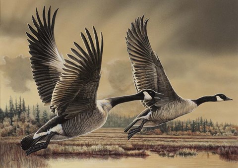 Framed Fall Flight Print