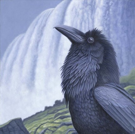 Framed Raven Water Print