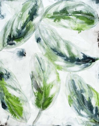 Framed leaf scatter 2 Print