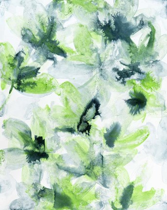 Framed Photosynthesis 2 Print