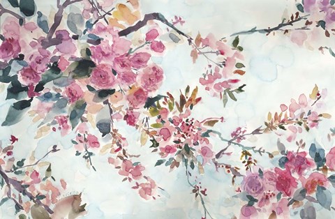 Framed Cherry Blossoms Morning Print