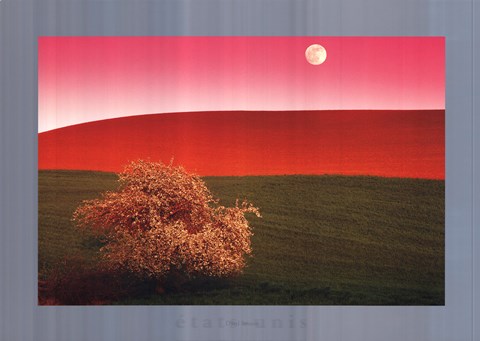 Framed Palouse Hills, Usa Print