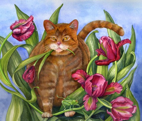 Framed Tango In The Tulips Print