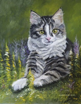 Framed Bandit The Cat Print