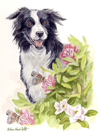 Framed Border Collie With Flowers Butterflies Print