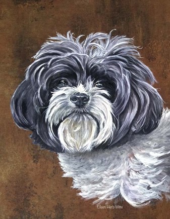 Framed Daisy The Dog Print