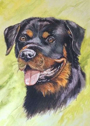 Framed Rotty Dog 1 Print