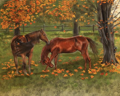 Framed Autumn Pastures Horses Print