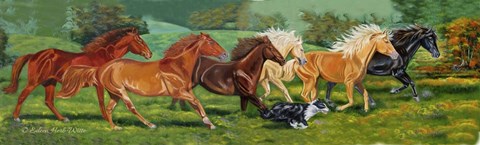 Framed Running Horses With Border Collie Print