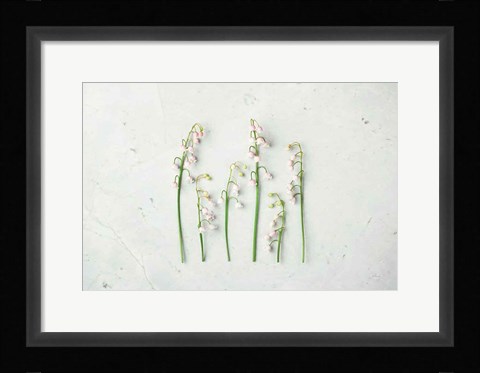 Framed May Bell Blooms Print