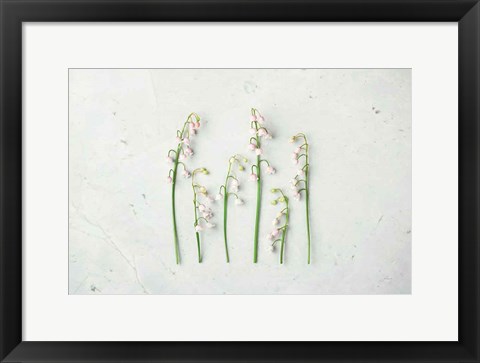Framed May Bell Blooms Print
