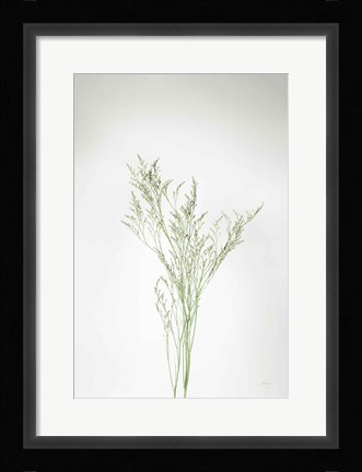 Framed Simple Stems VII Print