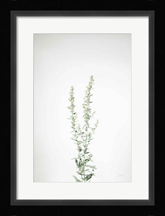 Framed Simple Stems IV Print