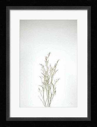 Framed Simple Stems V Print
