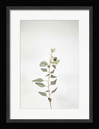 Framed Simple Stems II Print