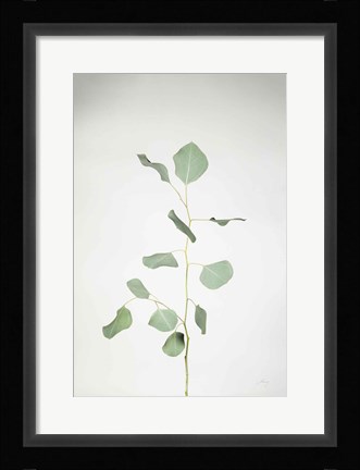 Framed Simple Stems I Print