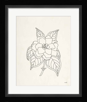 Framed Gardenia Line Drawing Print