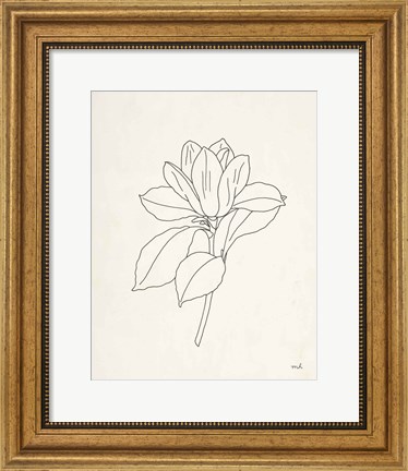 Framed Magnolia Line Drawing Print