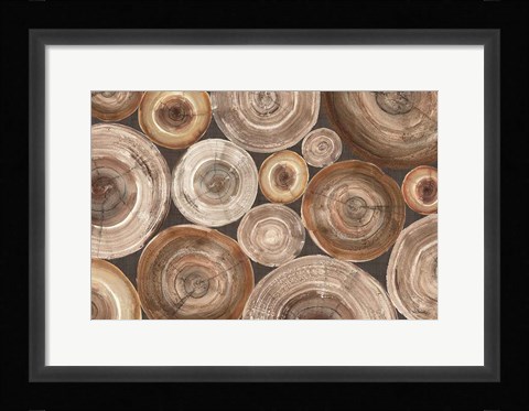 Framed Rings of Life II Print