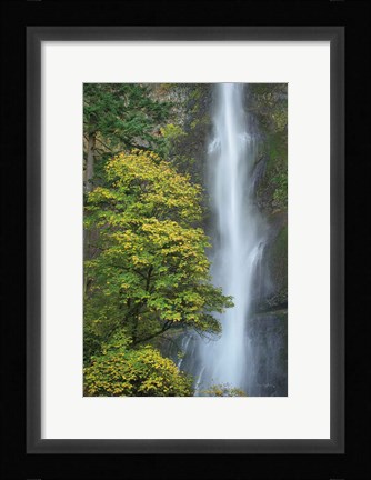 Framed Multnomah Falls color Print