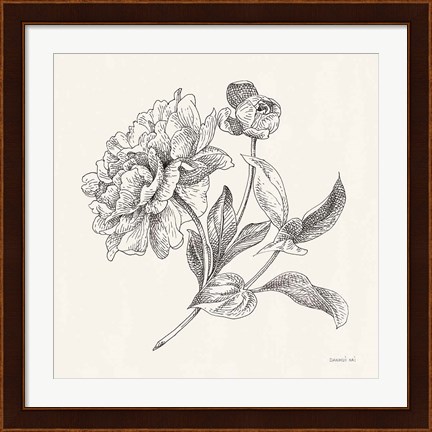 Framed Flower Sketches I Print