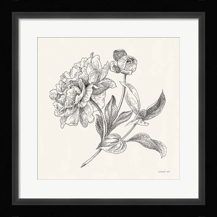 Framed Flower Sketches I Print