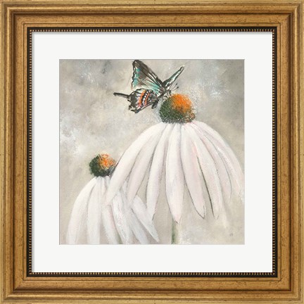 Framed Butterflies are Free I Print