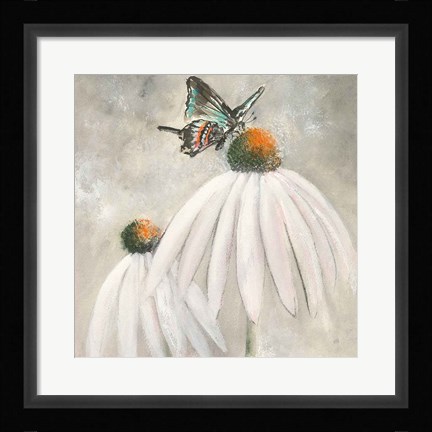 Framed Butterflies are Free I Print