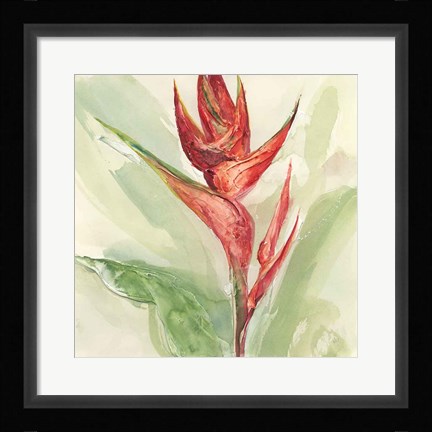 Framed Exotic Flower IV Print