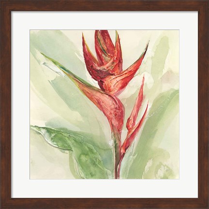 Framed Exotic Flower IV Print
