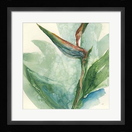 Framed Exotic Flower III Print