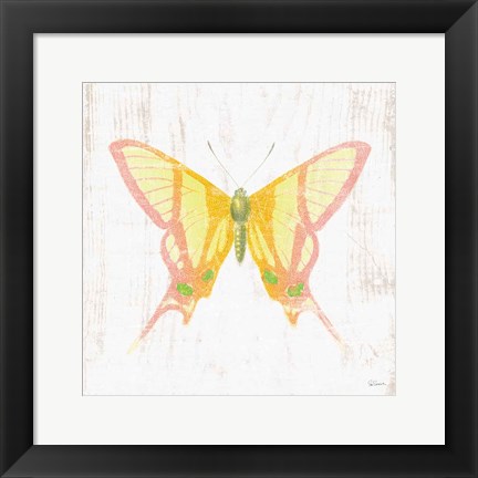 Framed White Barn Butterflies IV Print