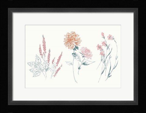 Framed Flowers on White VIII Contemporary Bright Print