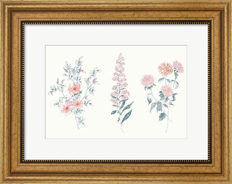 Framed Flowers on White IX Contemporary Bright Print
