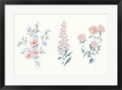Framed Flowers on White IX Contemporary Bright Print
