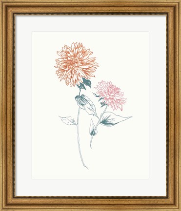 Framed Flowers on White IV Contemporary Bright Print
