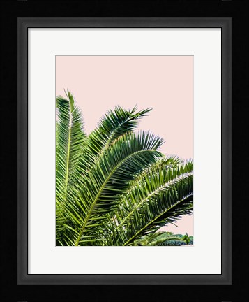 Framed Tropical Leaves on Blush I Print