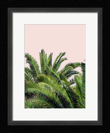 Framed Tropical Leaves on Blush II Print