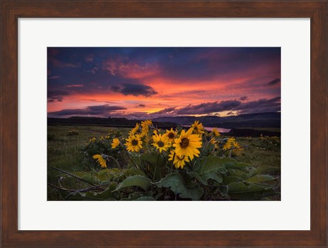Framed Sunset at the Gorge Print