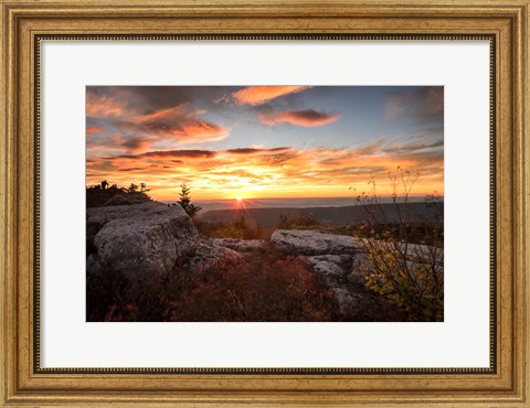 Framed Sunrise in Fall I Print
