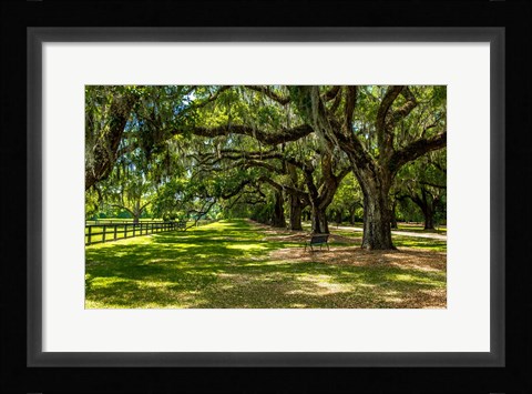 Framed Boone Hall Print