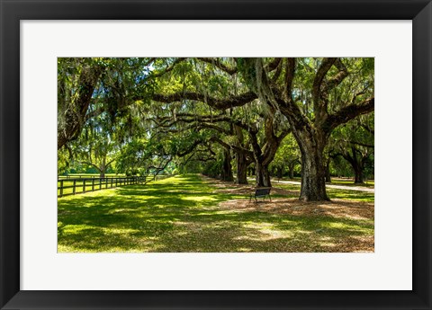Framed Boone Hall Print