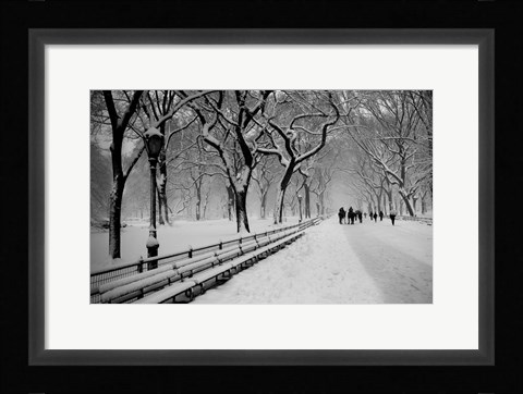 Framed Central Park Snow Print