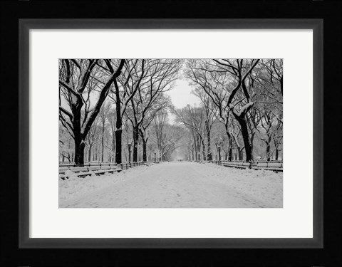 Framed Mall Washington DC Print